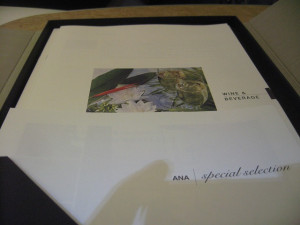 ana-first-hi2nrt-010