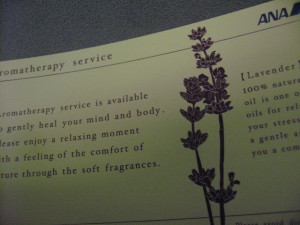 ana-first-hi2nrt-020