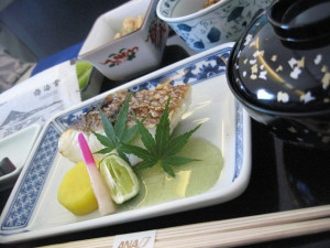 ana-first-hi2nrt-022