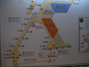 ana-lou-fir-4sat-002