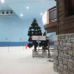 ski-dubai-014