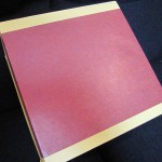 2009-ana-daiamond-delight-002 2009-ana-daiamond-delight-002