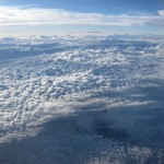 JAL-FIRST-HND2ITM-TOMATO-004 JAL-FIRST-HND2ITM-TOMATO-004