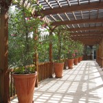 park-hyatt-dubai-restrant-004 park-hyatt-dubai-restrant-004