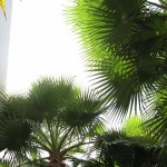 park-hyatt-dubai-spa-009 park-hyatt-dubai-spa-009