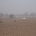 al-maha-resort-activity-005 al-maha-resort-activity-005