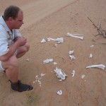 al-maha-resort-activity-006 al-maha-resort-activity-006