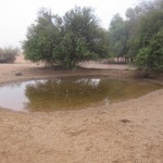 al-maha-resort-activity-007 al-maha-resort-activity-007