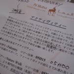 al-maha-resort-activity-012 al-maha-resort-activity-012