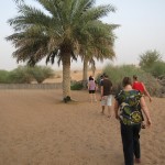 al-maha-resort-camel-004 al-maha-resort-camel-004