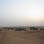 al-maha-resort-camel-008 al-maha-resort-camel-008