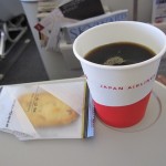 jal-classj-hnd2ishigaki-008 jal-classj-hnd2ishigaki-008