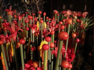 shangrila-tok-nicolai2-019