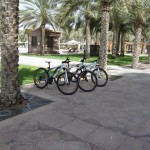 emirates-palace-facility-018 emirates-palace-facility-018