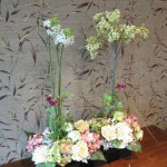 jal-business-taipei2narita-007 jal-business-taipei2narita-007