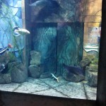 atlantis-the-palm-dubai-us-002