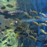 atlantis-the-palm-dubai-us-008