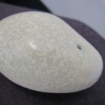 cx-business-hkg2nrt-010