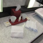 desert-palm-dubai-stay-016