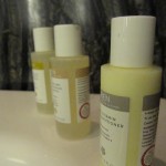 desert-palm-dubai-stay-028