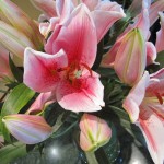 the-ritz-carlton-dubai-stay-008