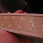 ey-first-nrt2abd-013