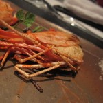 hal-yamashita-TOK-004