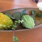 tenkuno-mori-arrive-003