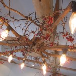 tenkuno-mori-arrive-004