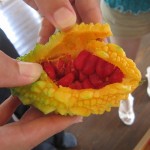 tenkuno-mori-arrive-005