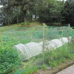 tenkuno-mori-arrive-007