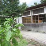 tenkuno-mori-arrive-010