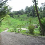 tenkuno-mori-arrive-012