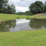 tenkuno-mori-arrive-013