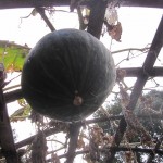 tenkuno-mori-arrive-015