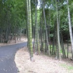 tenkuno-mori-arrive-018