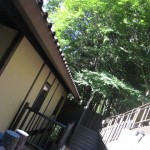 gosho-besho-stay-027