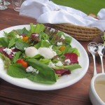 gtenkuno-mori-meal-016