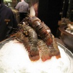 futian-shangrila-premium-zen-005