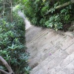 gosokuno-kutsu-breakfast-001