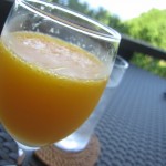 gosokuno-kutsu-breakfast-005