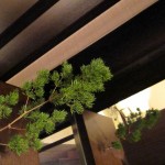 conrad-tokyo-bay-view-suite-007