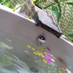 shangrila-maldive-spa-012