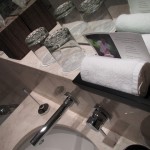 hyatt-regency-dubai-stay-005