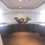 jal-hnd-domestic-dia-lo-006