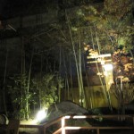 onyado-kawasemi-stay-022