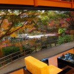 onyado-kawasemi-stay-029