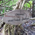 soneva-gili-walk-012