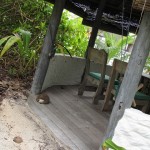 soneva-gili-walk-014