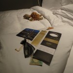 jumeirah-at-ethihad-grand-club-036